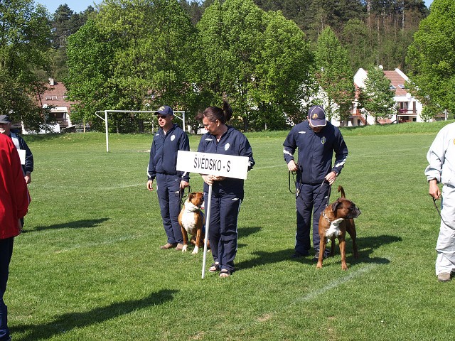 www.atibox.net * www.euroboxer.eu * www.boxergenealogia.eu